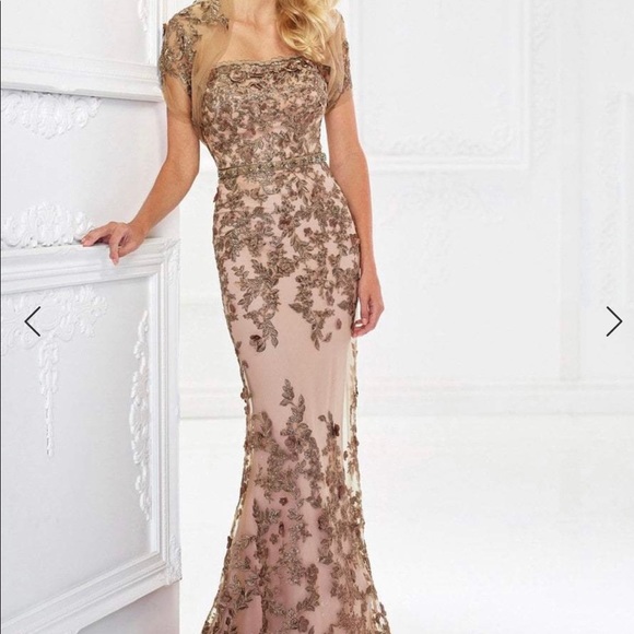 Montage by Mon Cheri Dresses & Skirts - Montage by Mon Cheri MOB  BRONZE/nude dress embroidered beaded dress,  gown